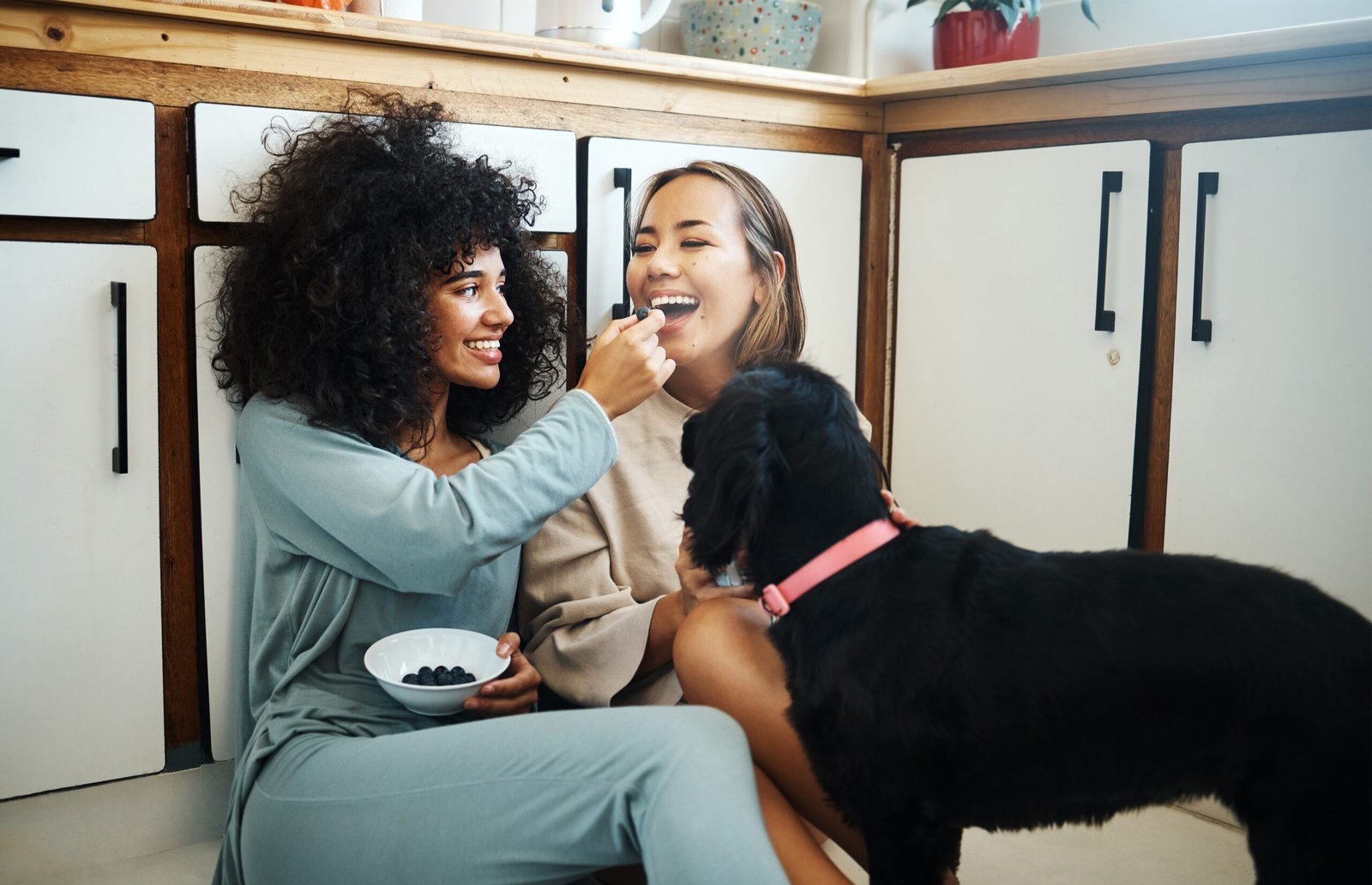 Lesbian,,Couple,And,Happy,With,Dog,In,Kitchen,,Home,Or
